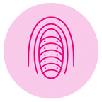 Ribbed Inner Chamber